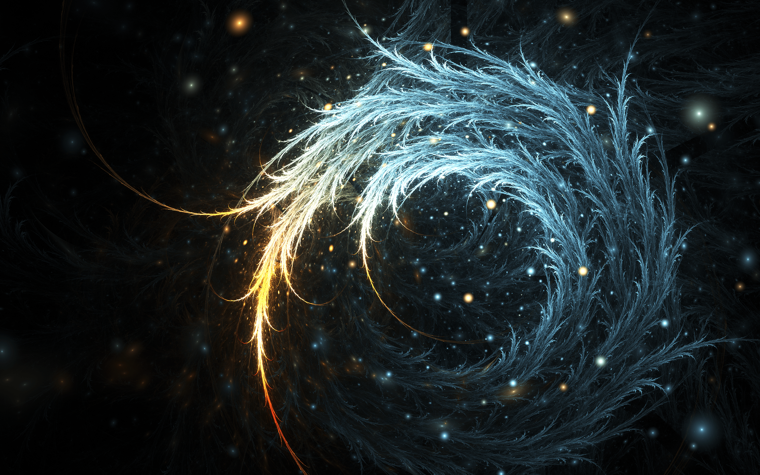 2560x1600 Feathers wallpaperx1600