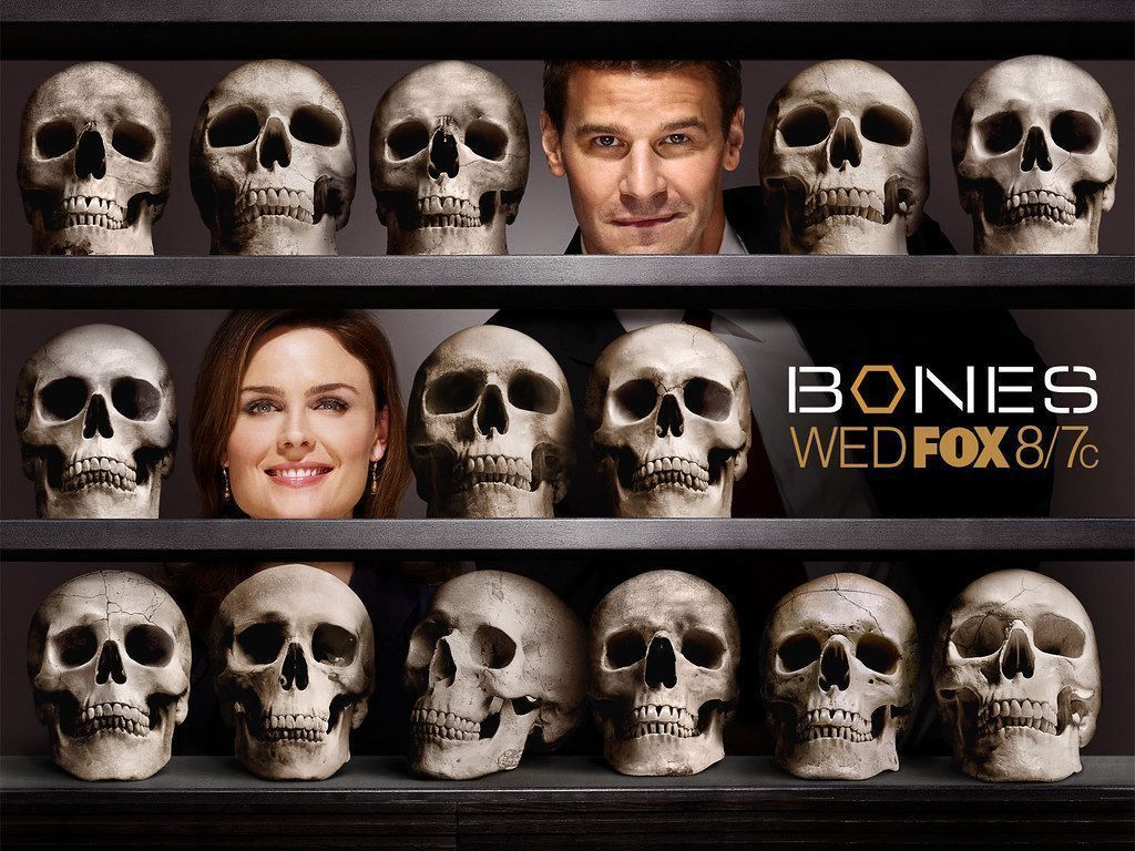 1024x768 Bones Wallpaper 3 Temperance Brennan 9121078 1600 1200