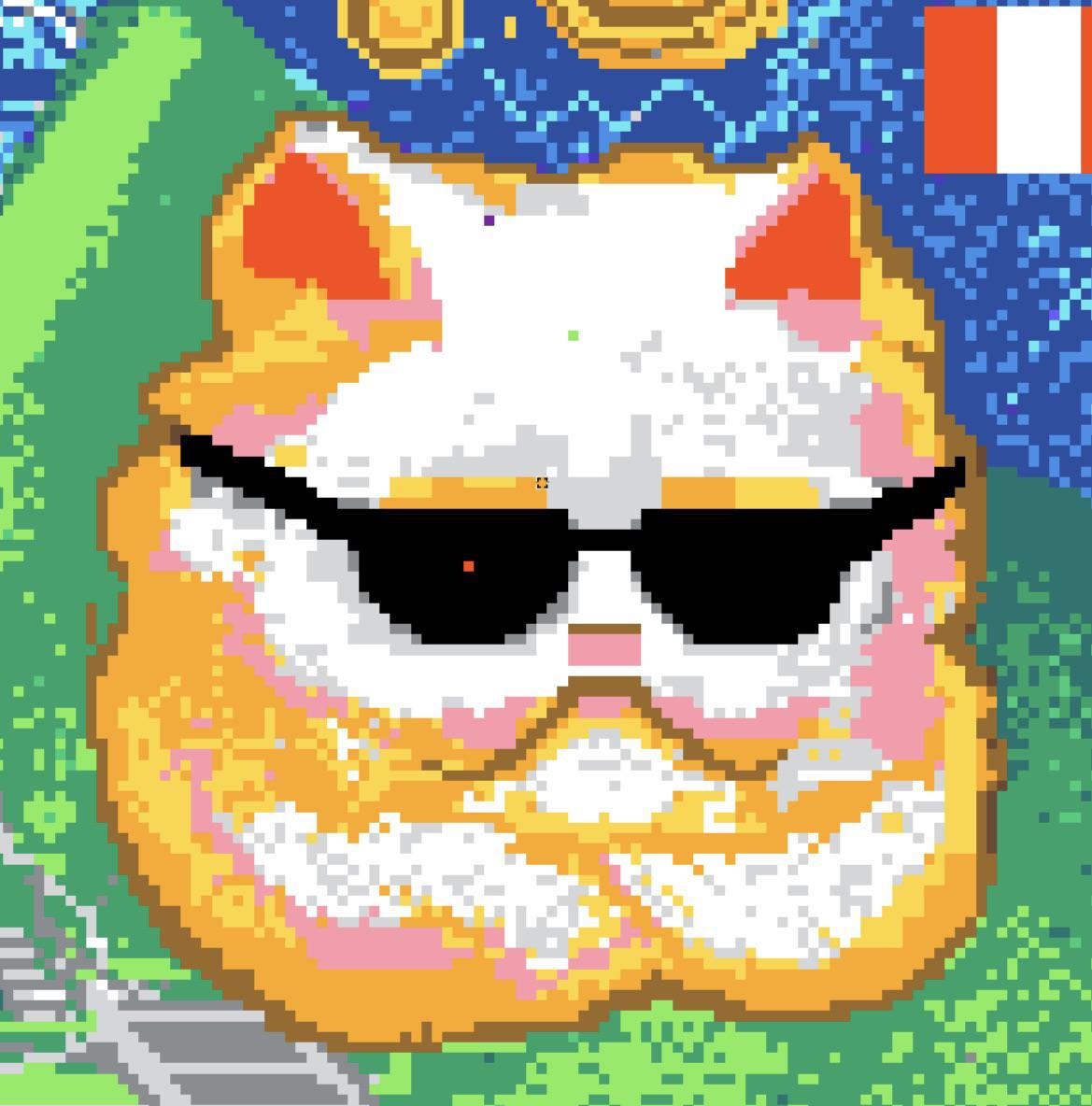 1169x1184 The ugly cat is at least partially botted