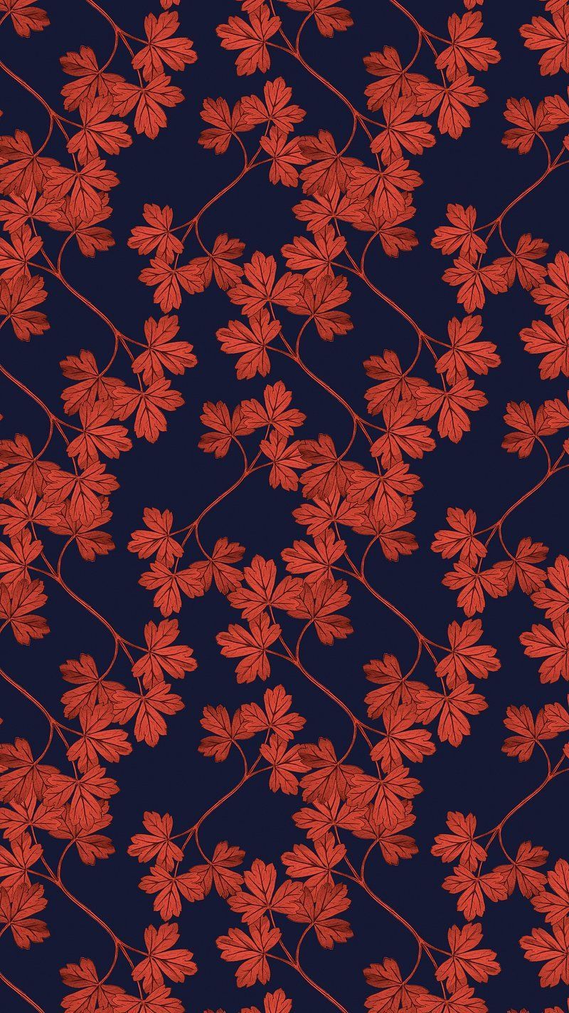 800x1422 Free Vectors, PNGs, Mockups & Background