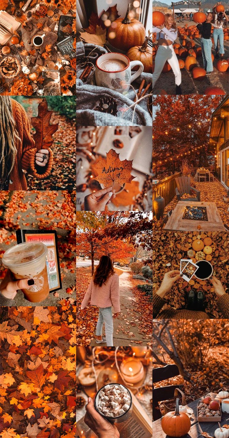 750x1433 Autumn Collage Wallpaper : Cozy Autumn Pumpkin. Colour + Mood + Style Inspiration