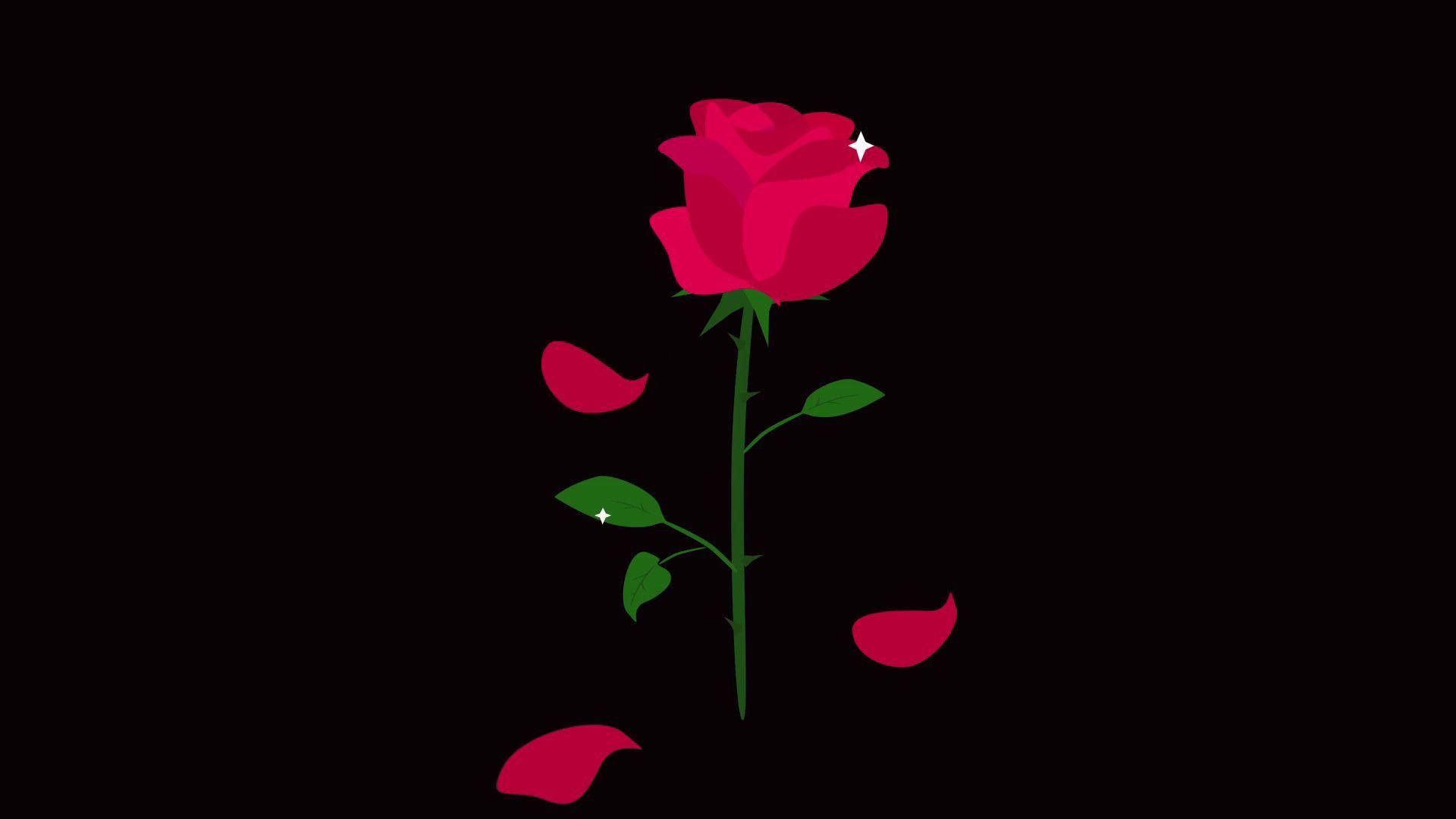 1920x1080 Red Rose Black Background