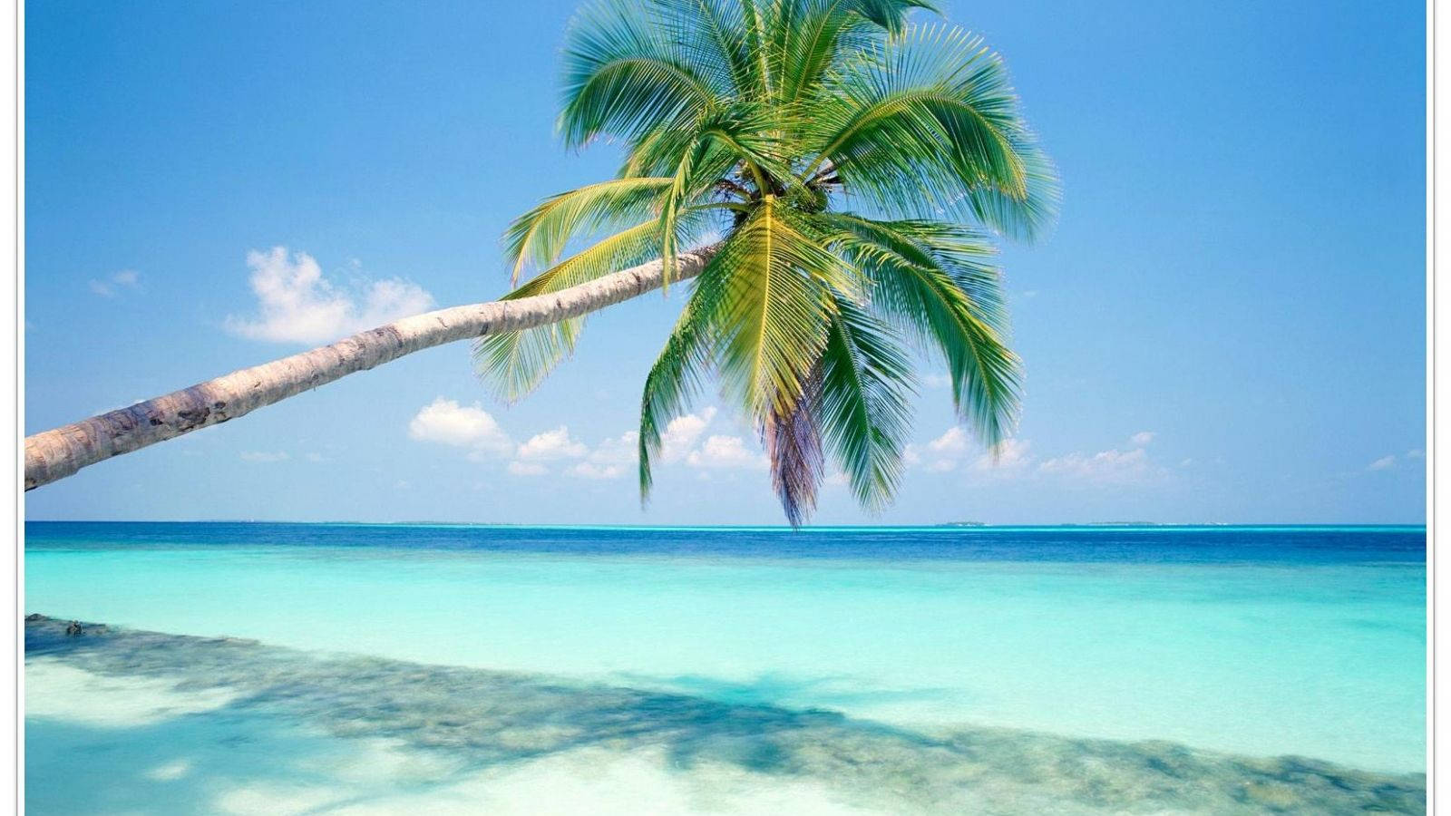 1600x900 Download Goa, India Clear Sea Wallpaper