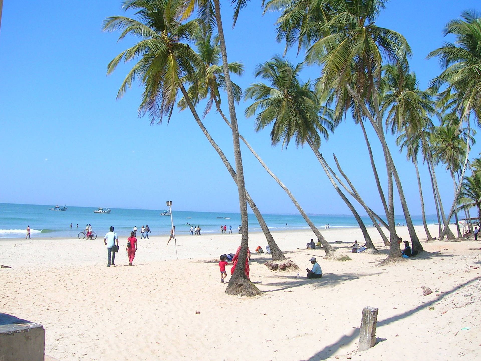 1920x1440 Download Goa India Palm Trees Wallpaper