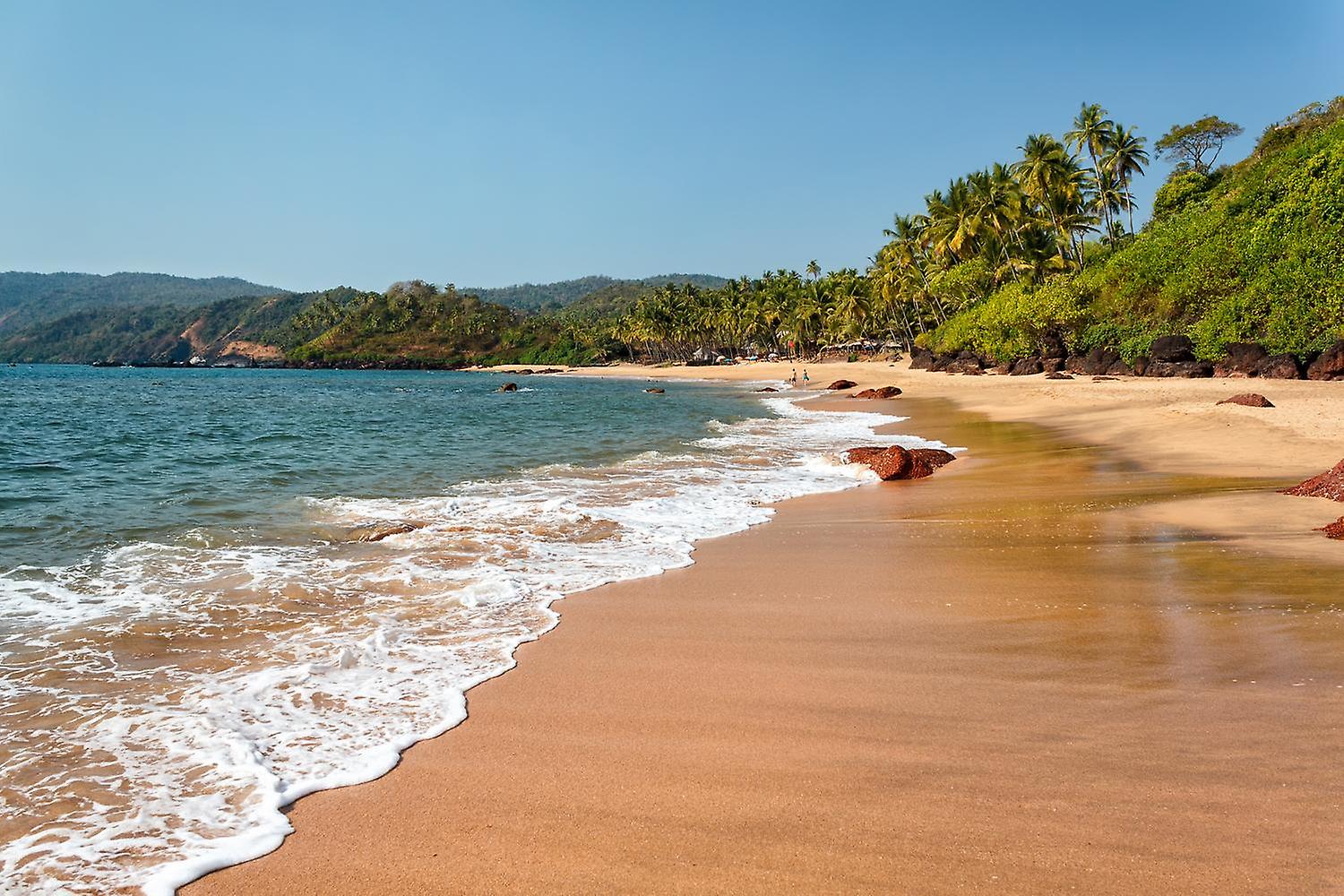 1500x1000 Wallpaper Cola Beach in South Goa in India