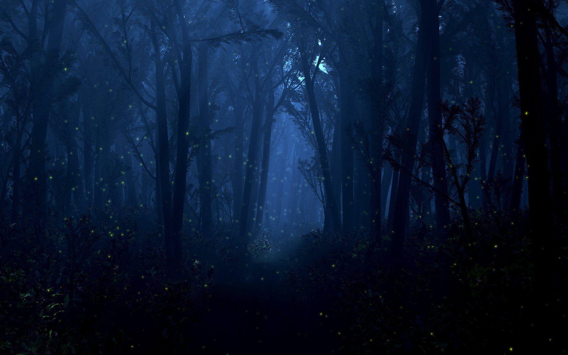 Night Time Forest Wallpapers - Top Free Night Time Forest Backgrounds