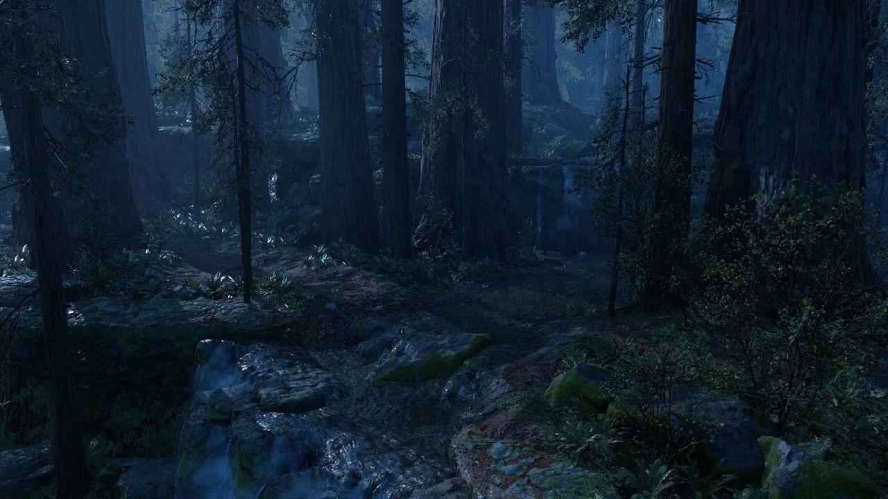 1280x720 Forest Night Wallpaper