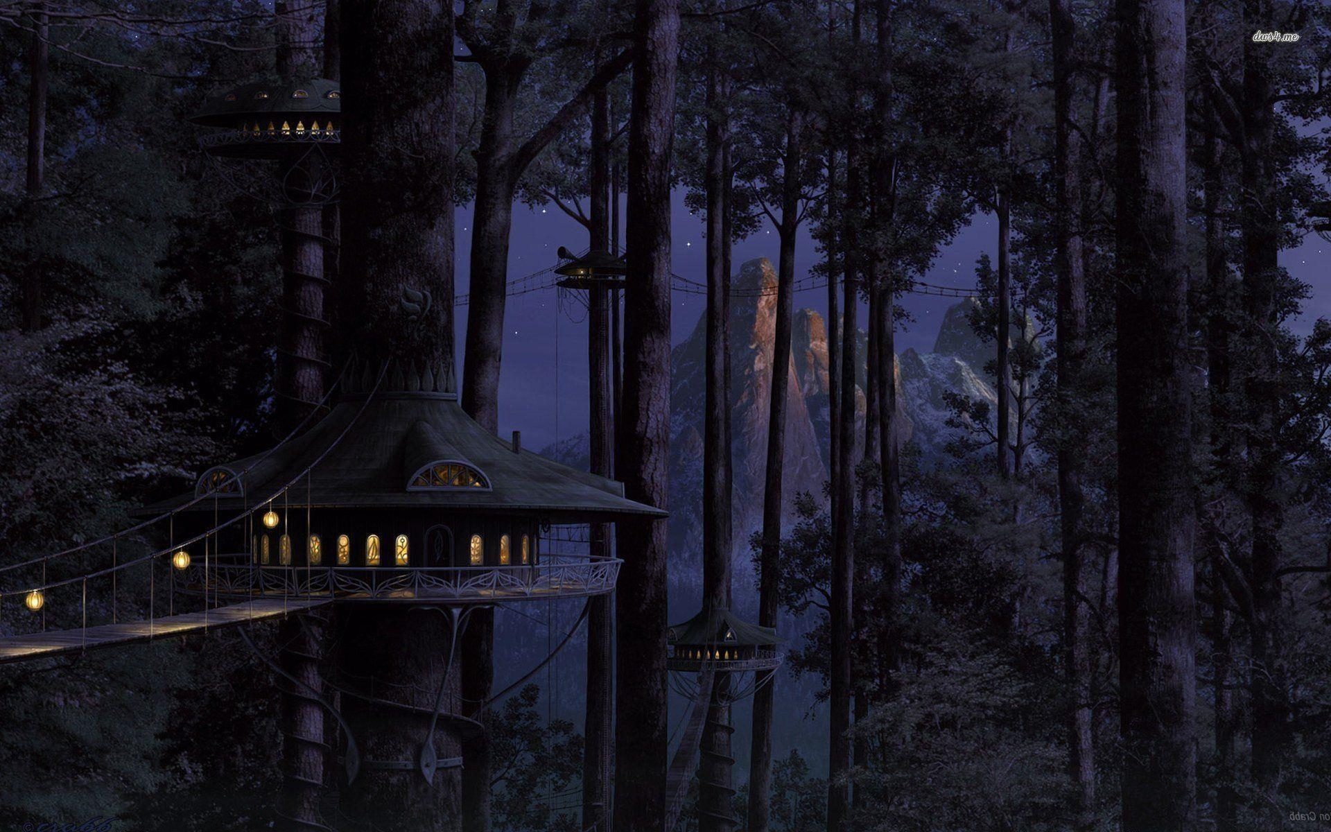 1920x1200 Night Forest Wallpaper