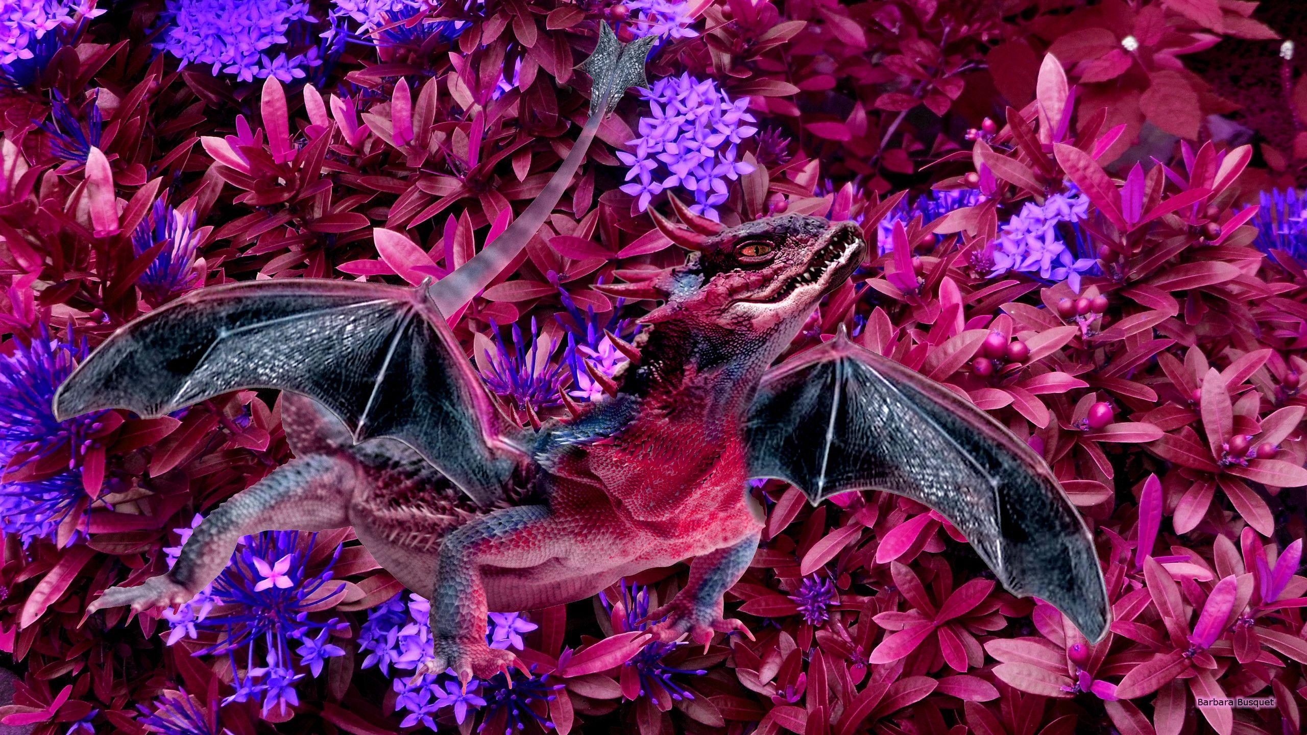 2560x1440 Purple Dragon Wallpaper