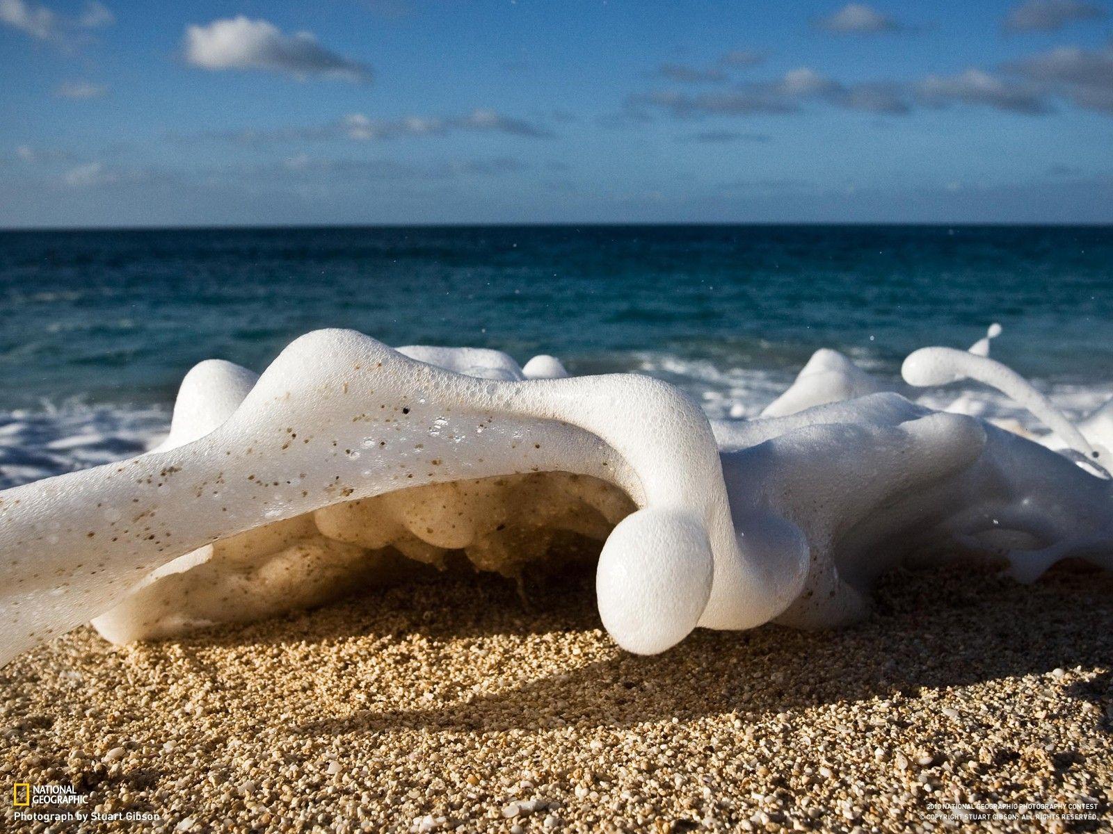 National Geographic Ocean Wallpapers - Top Free National Geographic ...
