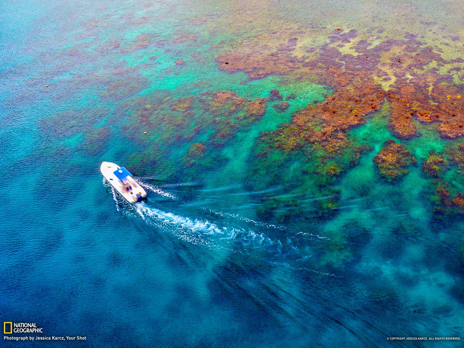 1600x1200 National Geographic Wallpaper Ocean