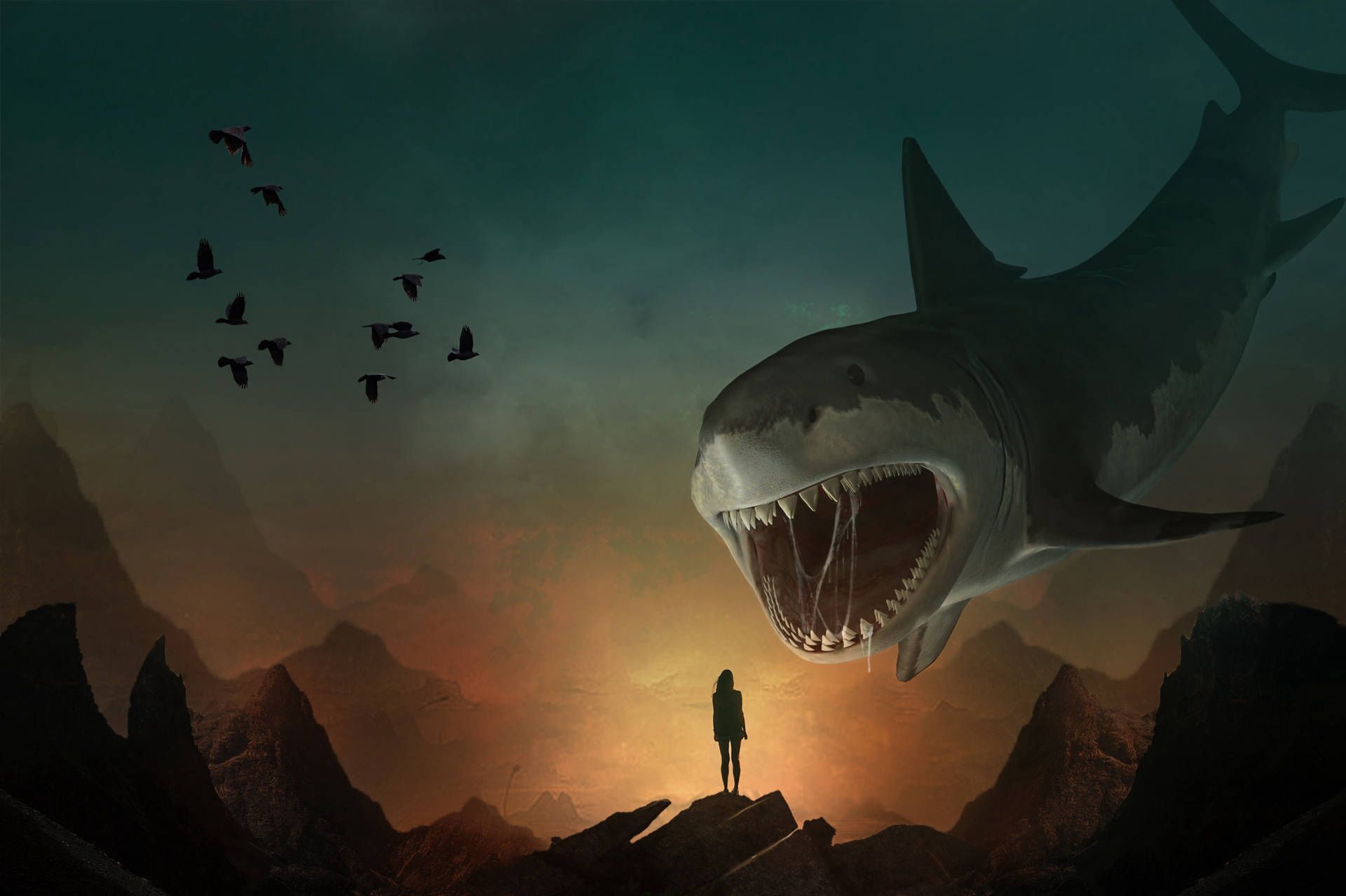 1920x1279 Download Shark Wallpaper