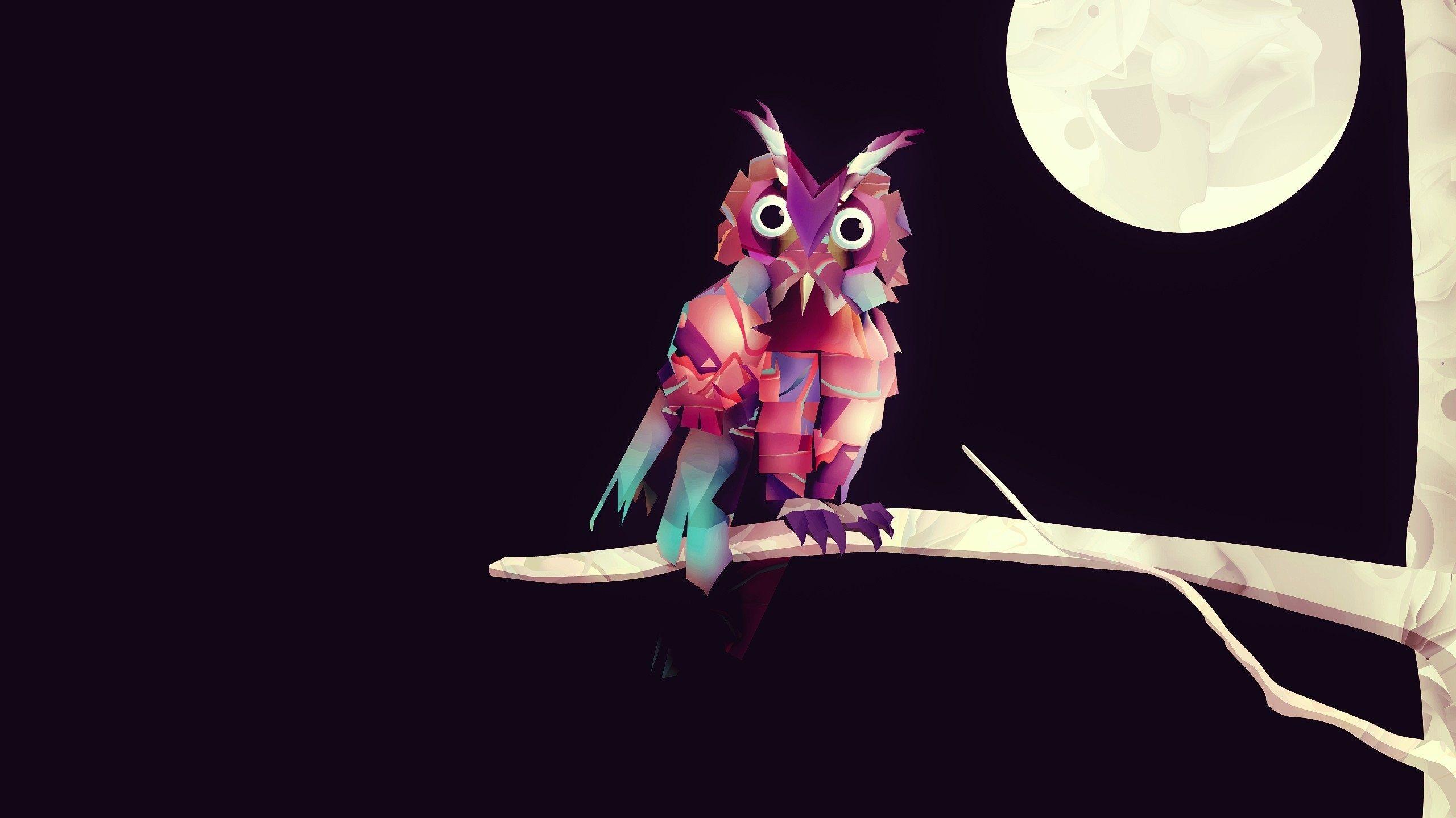 2560x1440 Wallpaper Abstract owl, vector, colorful 2560x1440 QHD Picture, Image