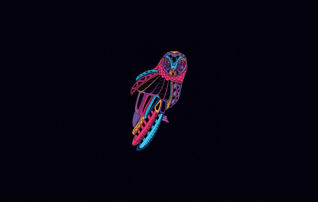 1332x850 Wallpaper Minimalism, Owl, Bird, Style, Art, Art, Abstract, Style