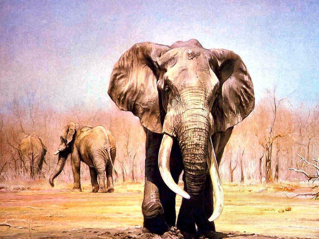 1024x768 Wallpaper For > Painted Indian Elephant Wallpaper
