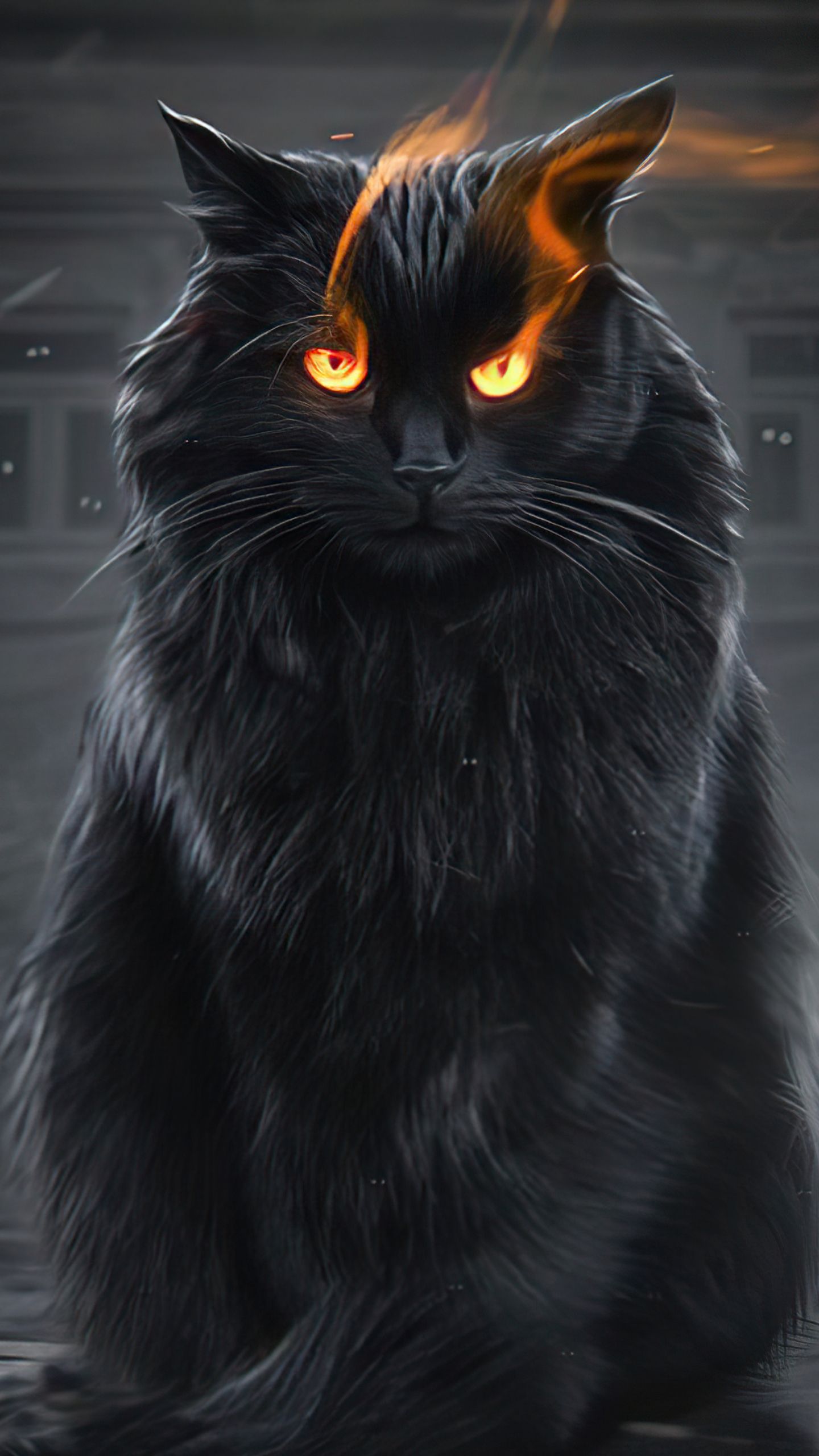 1440x2560 Download wallpaper 1440x2560 black cat, fire eyes, fantasy, qhd samsung galaxy s s edge, note, lg g 1440x2560 HD background, 26970