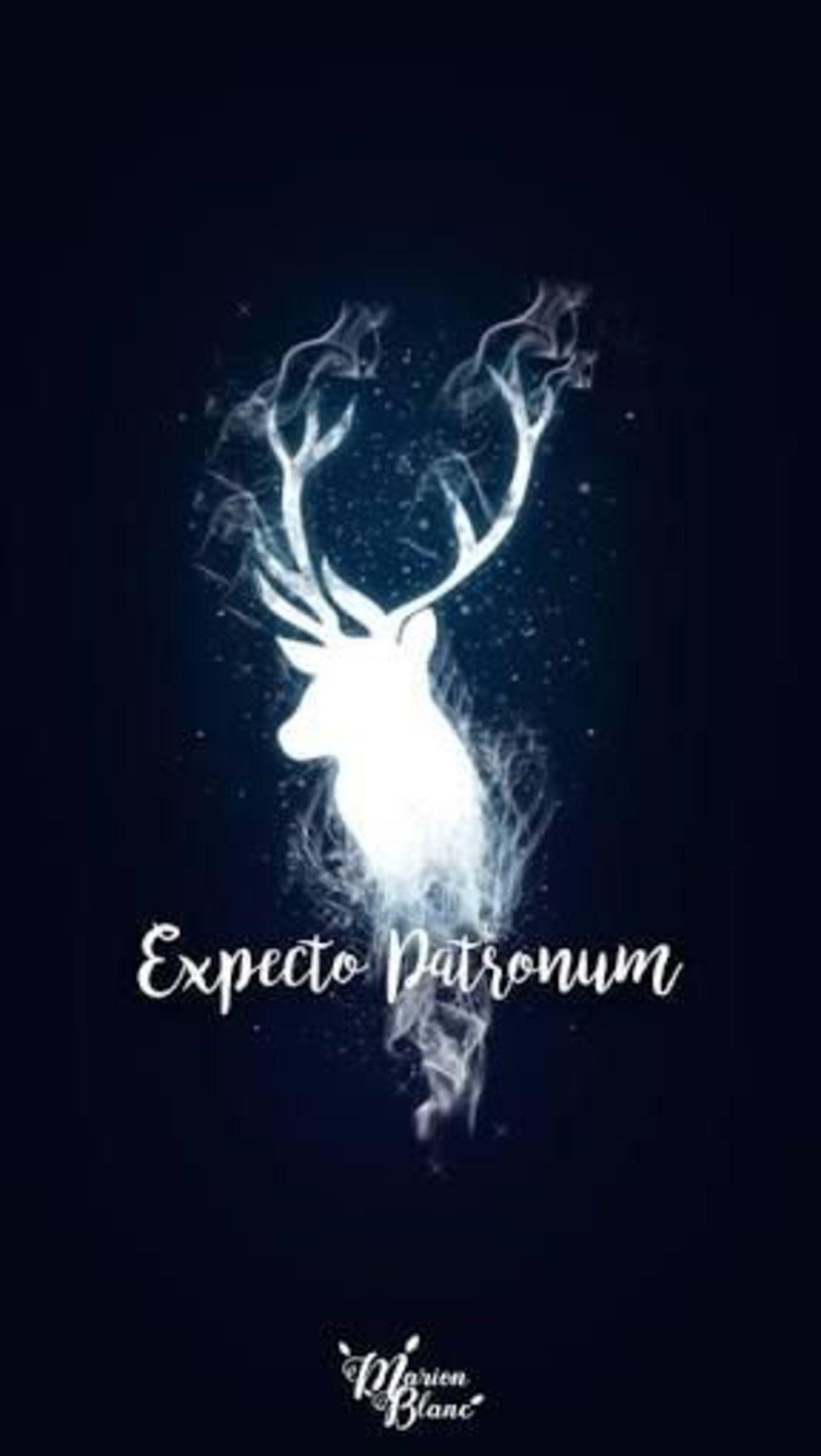 1443x2560 Znalezione obrazy dla zapytania harry potter wallpaper