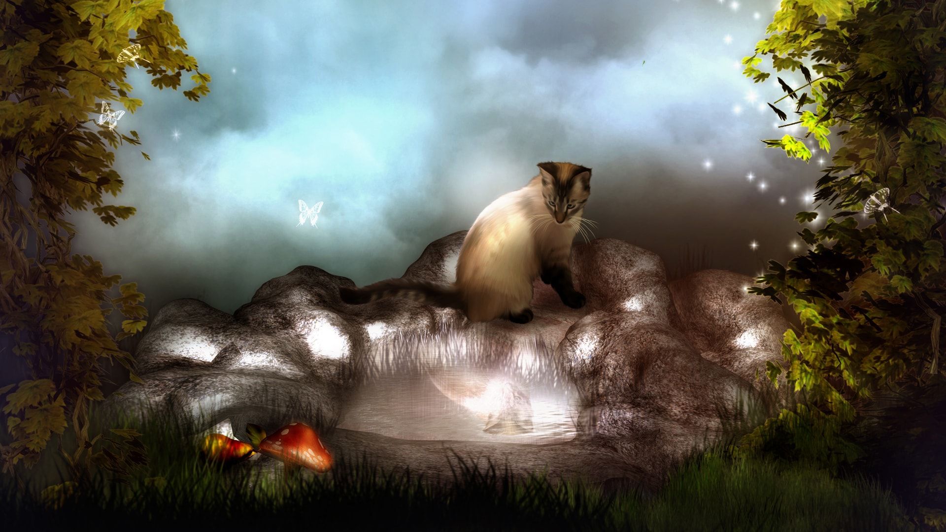 1920x1080 Cat Wallpaper