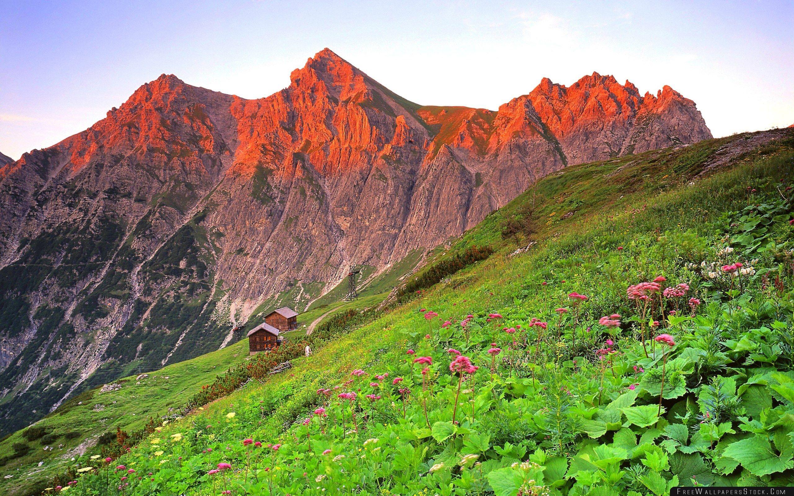 2560x1600 Austria Brandnertal Grass Mountain Slope Wallpaper Wallpaper