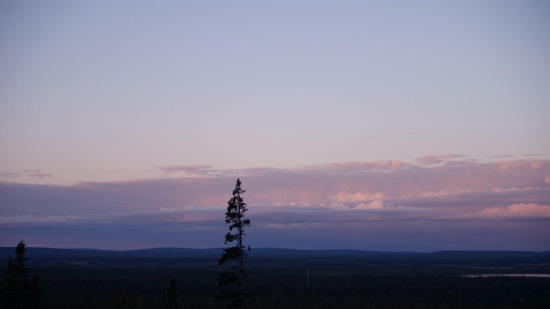 1920x1080 Finland, Forest, Landscape Wallpaper HD / Desktop and Mobile