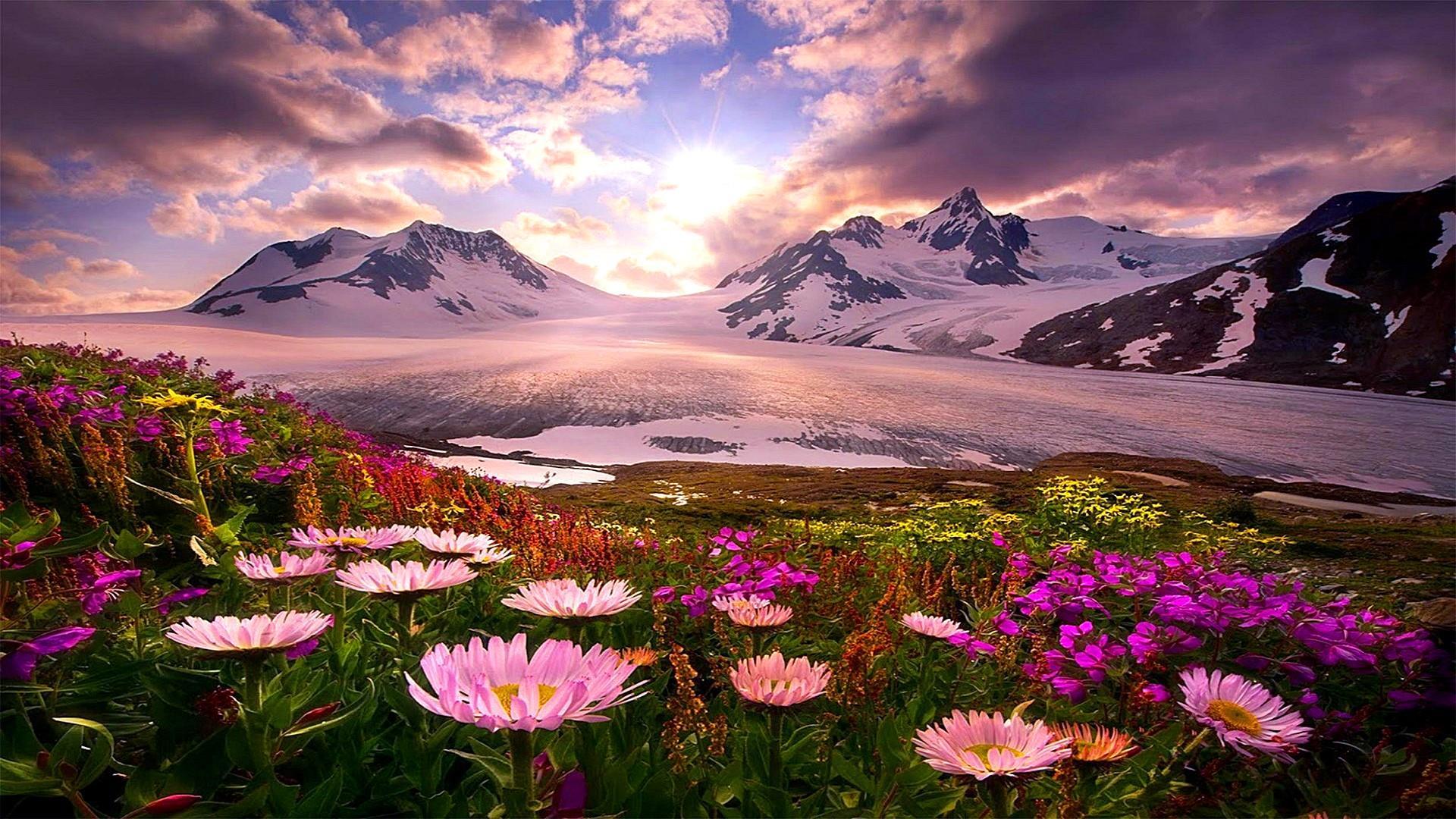 Alaska Wallpapers - Top Free Alaska Backgrounds - WallpaperAccess