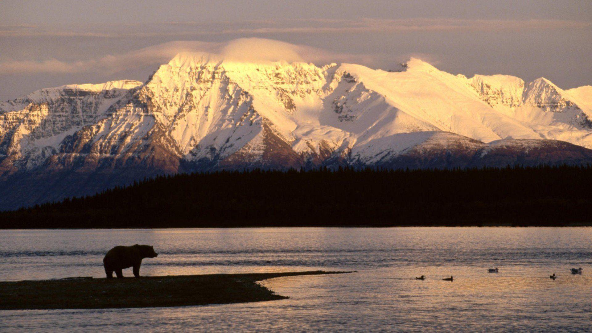 Alaska Wallpapers - Top Free Alaska Backgrounds - WallpaperAccess