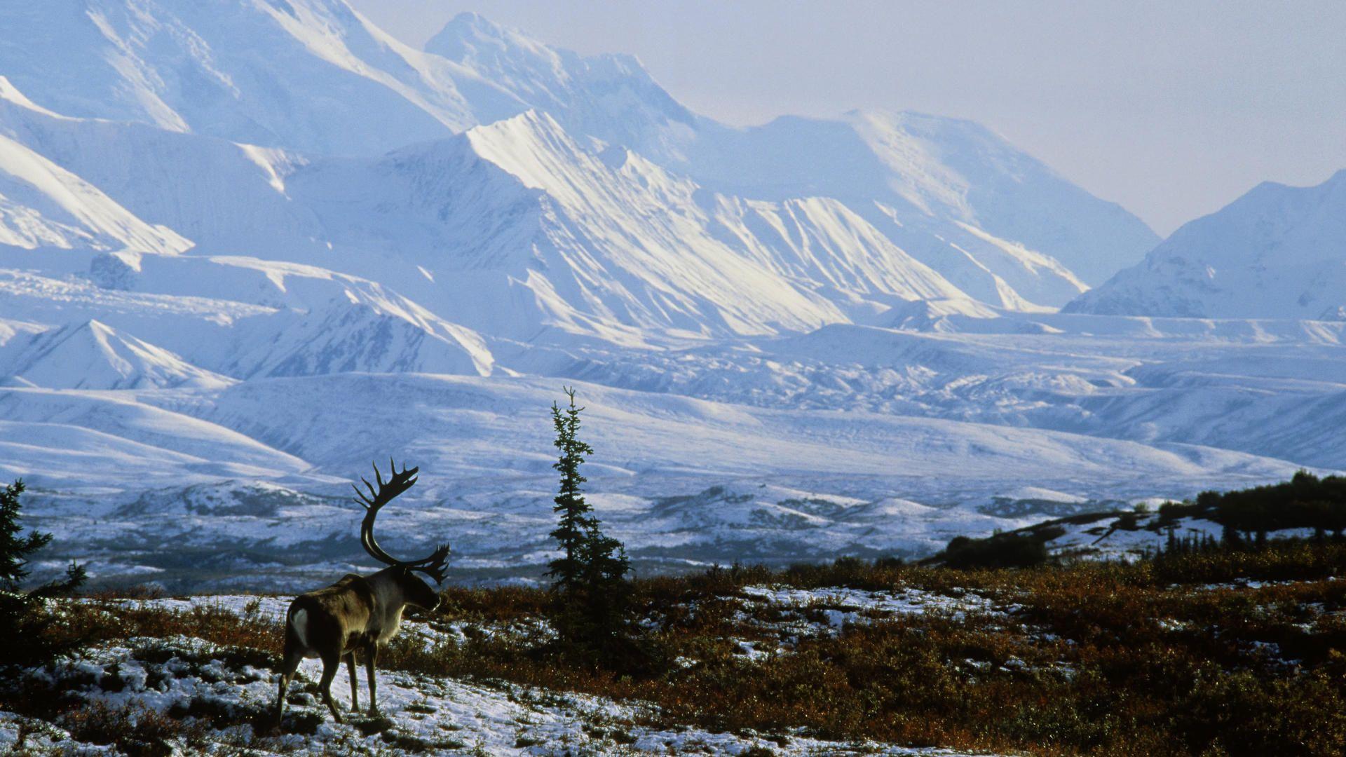 1920x1080 Alaska Background HD