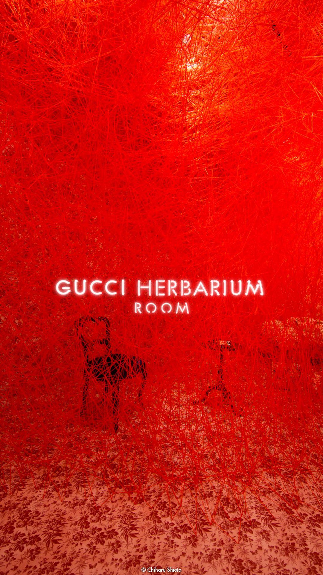 1080x1920 Gucci Official Site United States