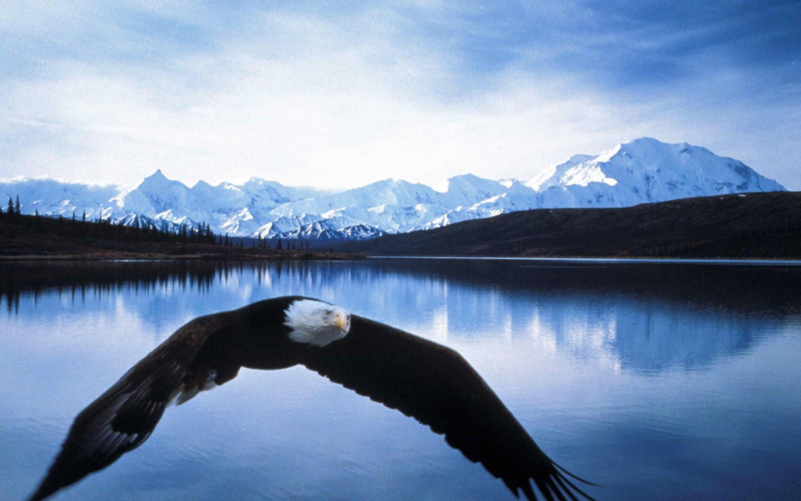 2560x1600 Alaska Wallpaper #K4DGV8R, 591.48 Kb