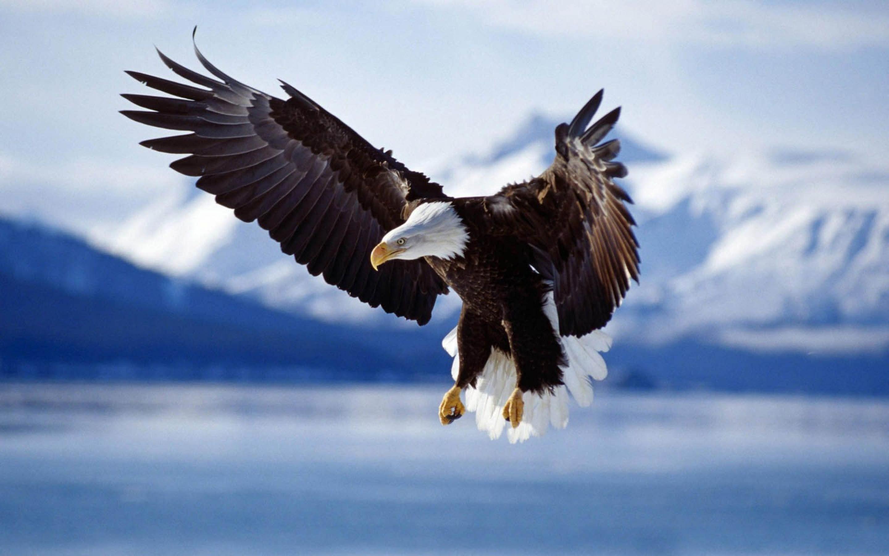 2880x1800 Alaska wallpaperDownload free stunning HD background