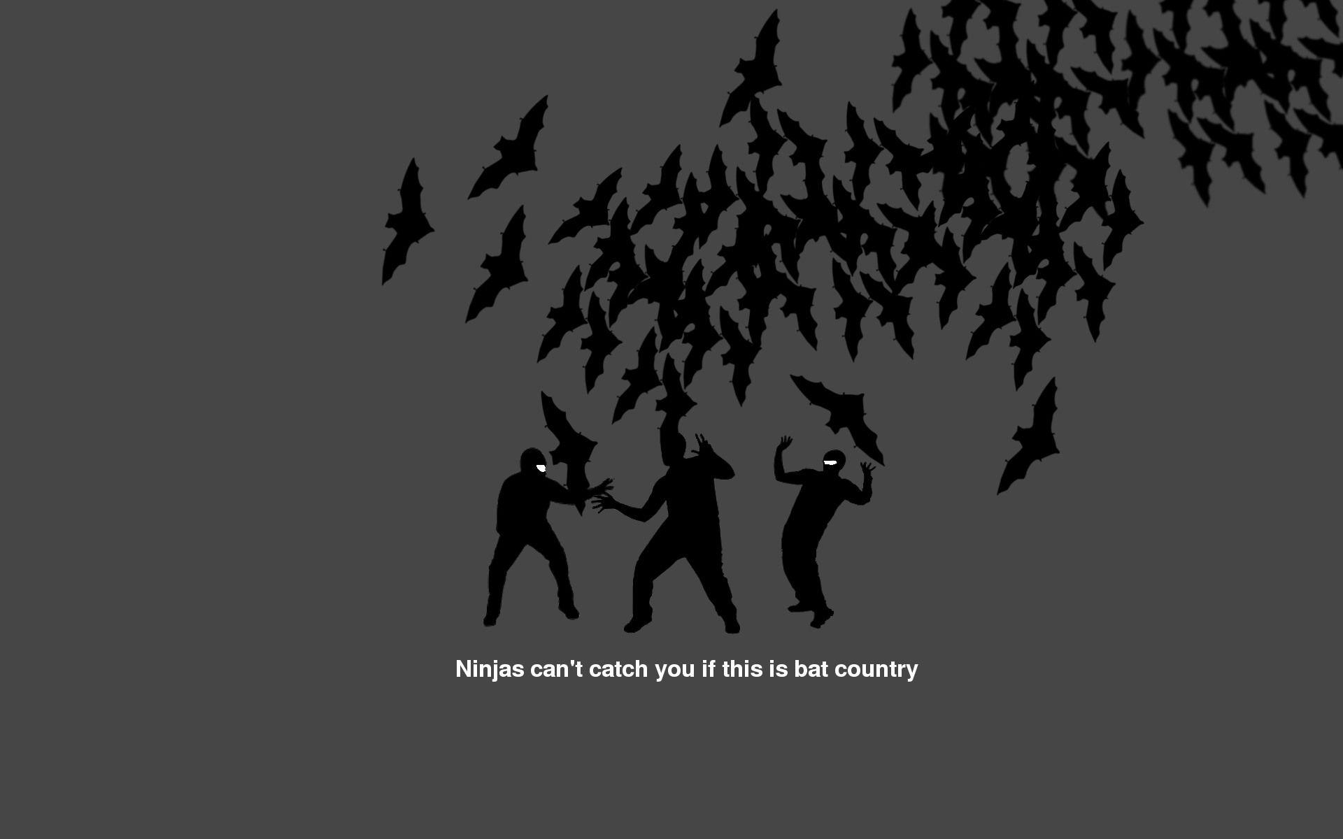 1920x1200 Ninja Wallpaper, Picture, Image