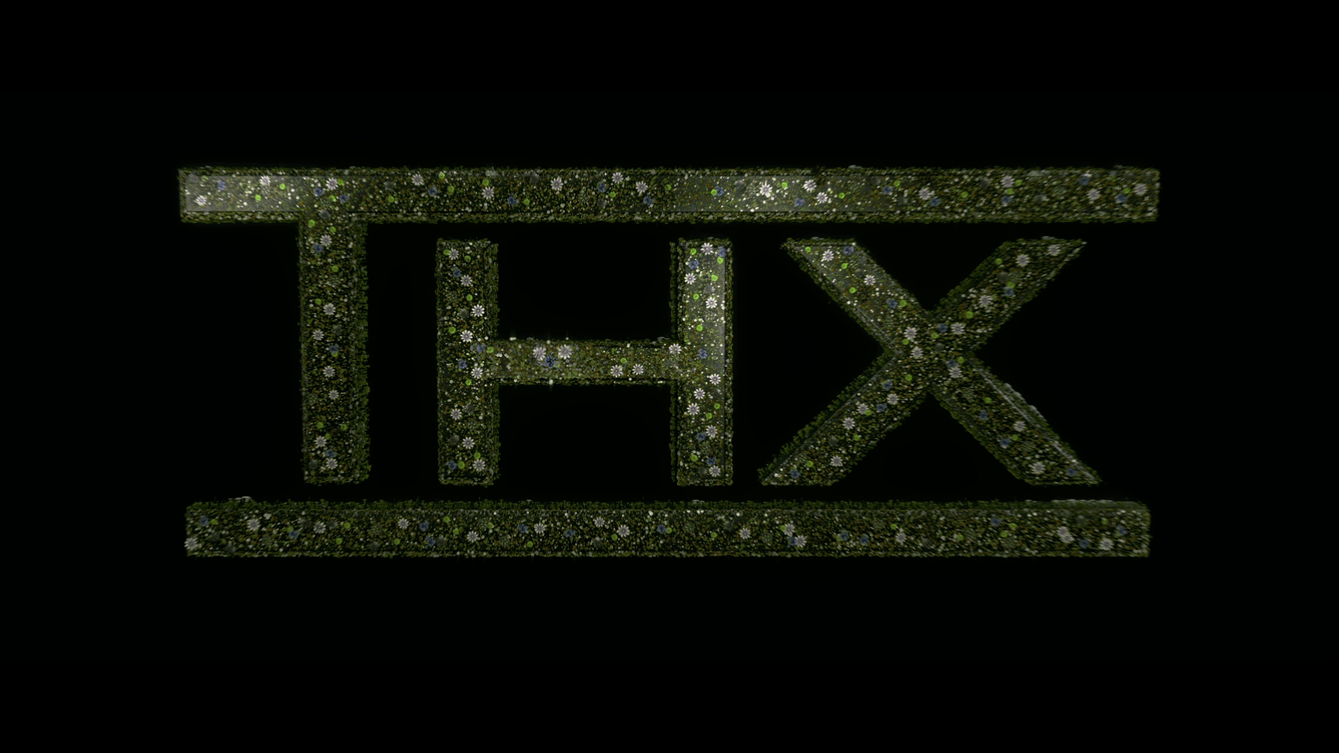1920x1080 Amazing Life