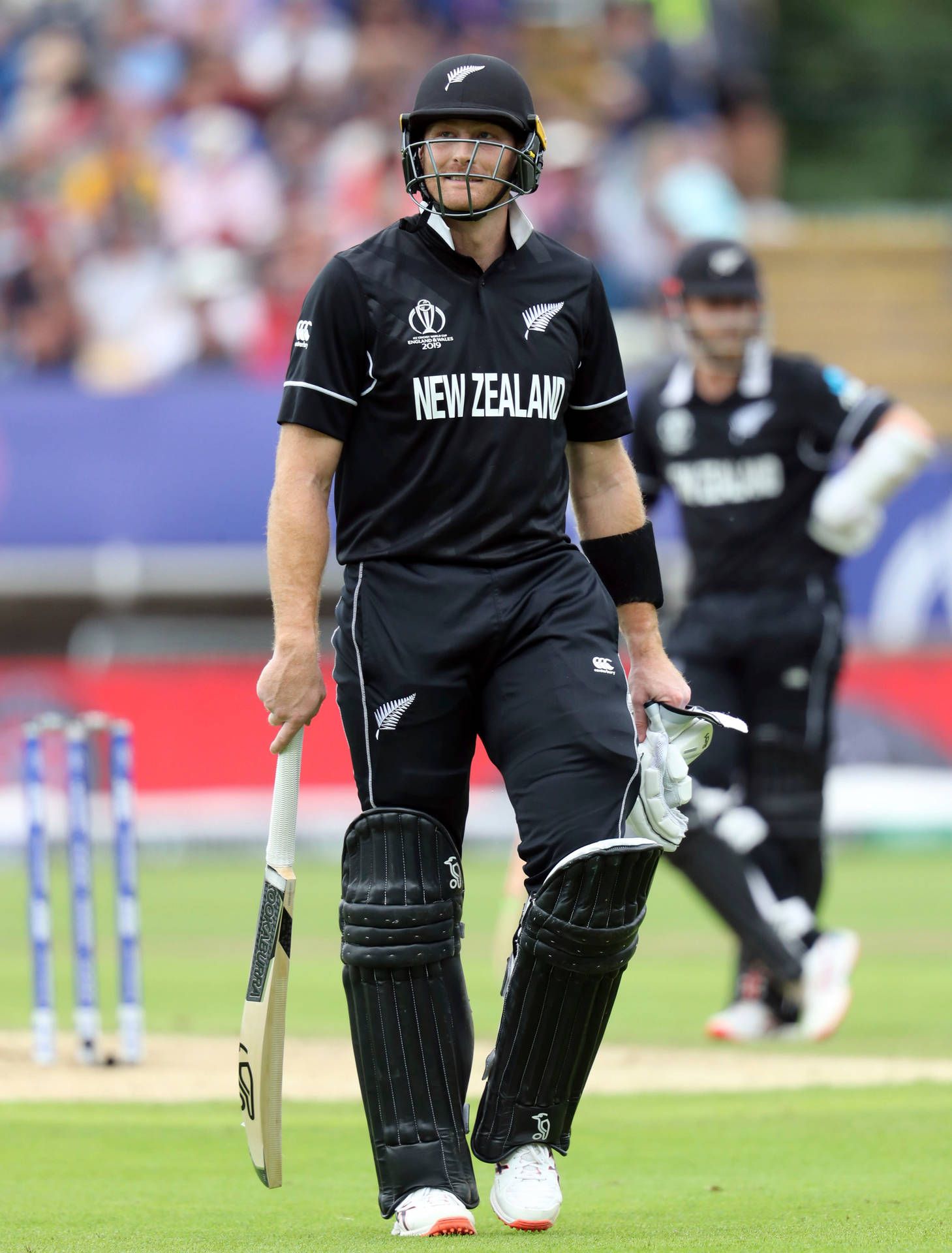 1459x1920 Download Martin Guptill On Cricket Grounds Wallpaper