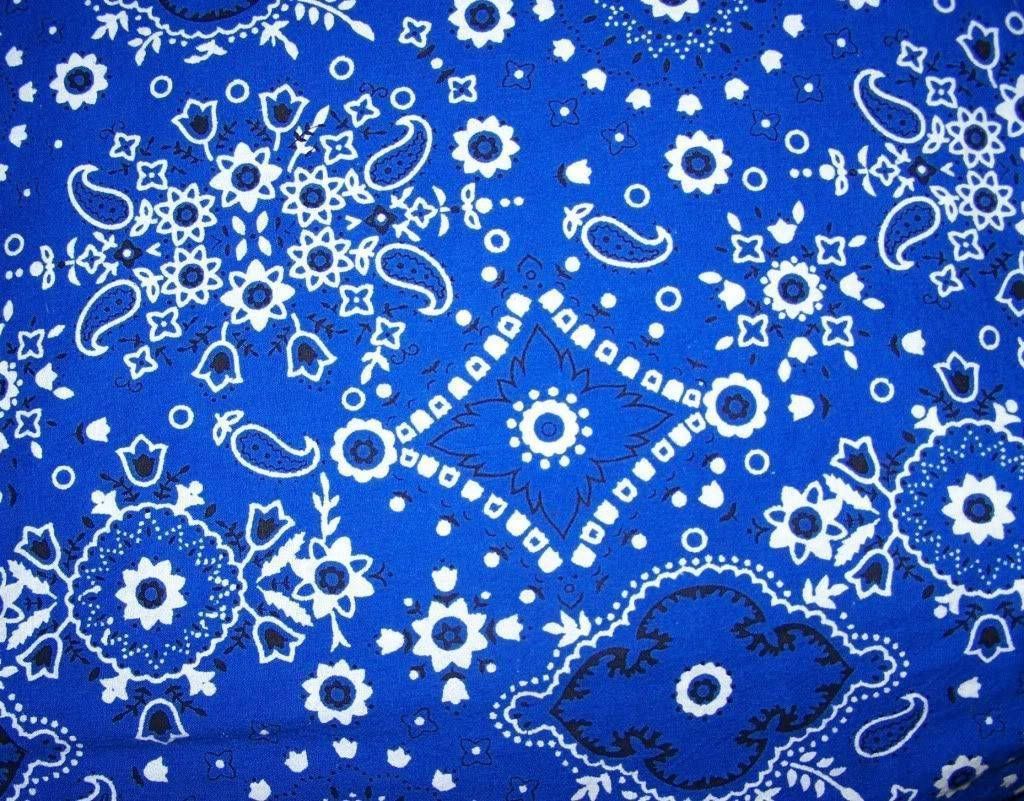 1024x801 Blue Bandana Wallpaper