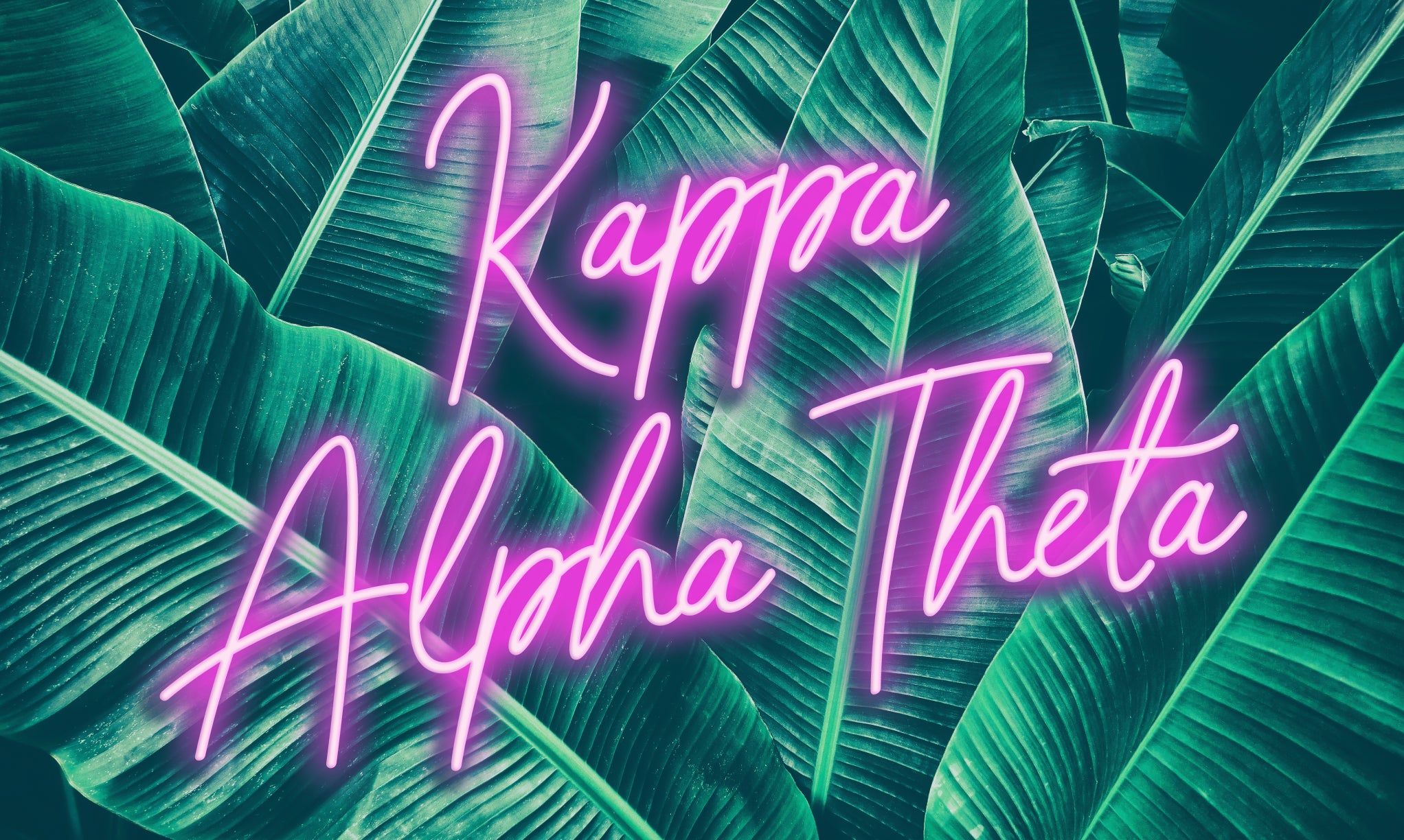 Alpha Kappa Alpha Wallpapers - Top Free Alpha Kappa Alpha Backgrounds ...