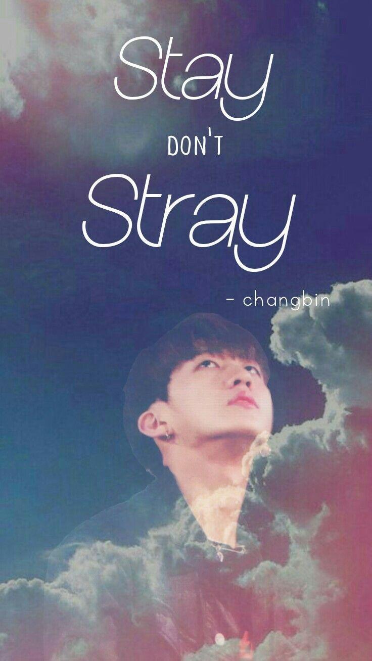 736x1308 Stray Kids Wallpaper