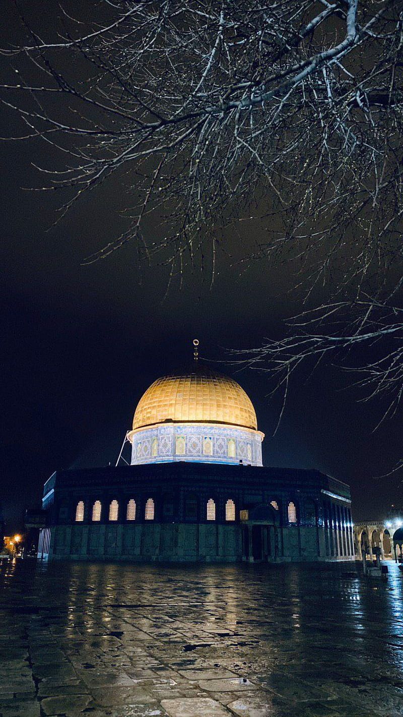 800x1422 Al aqsa, israel, mosque, HD phone wallpaper