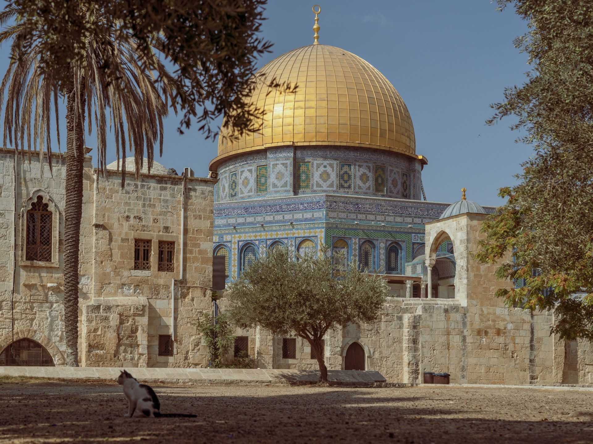 1920x1440 Murabitat: The Palestinian Women Defending Al Aqsa. Al Aqsa Mosque News