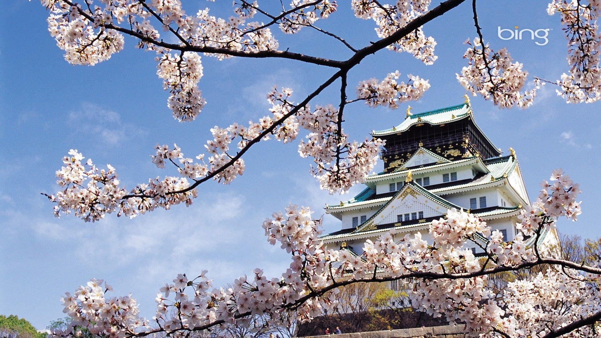 1920x1080 Temple cherry blossoms landscapes nature oriental wallpaper