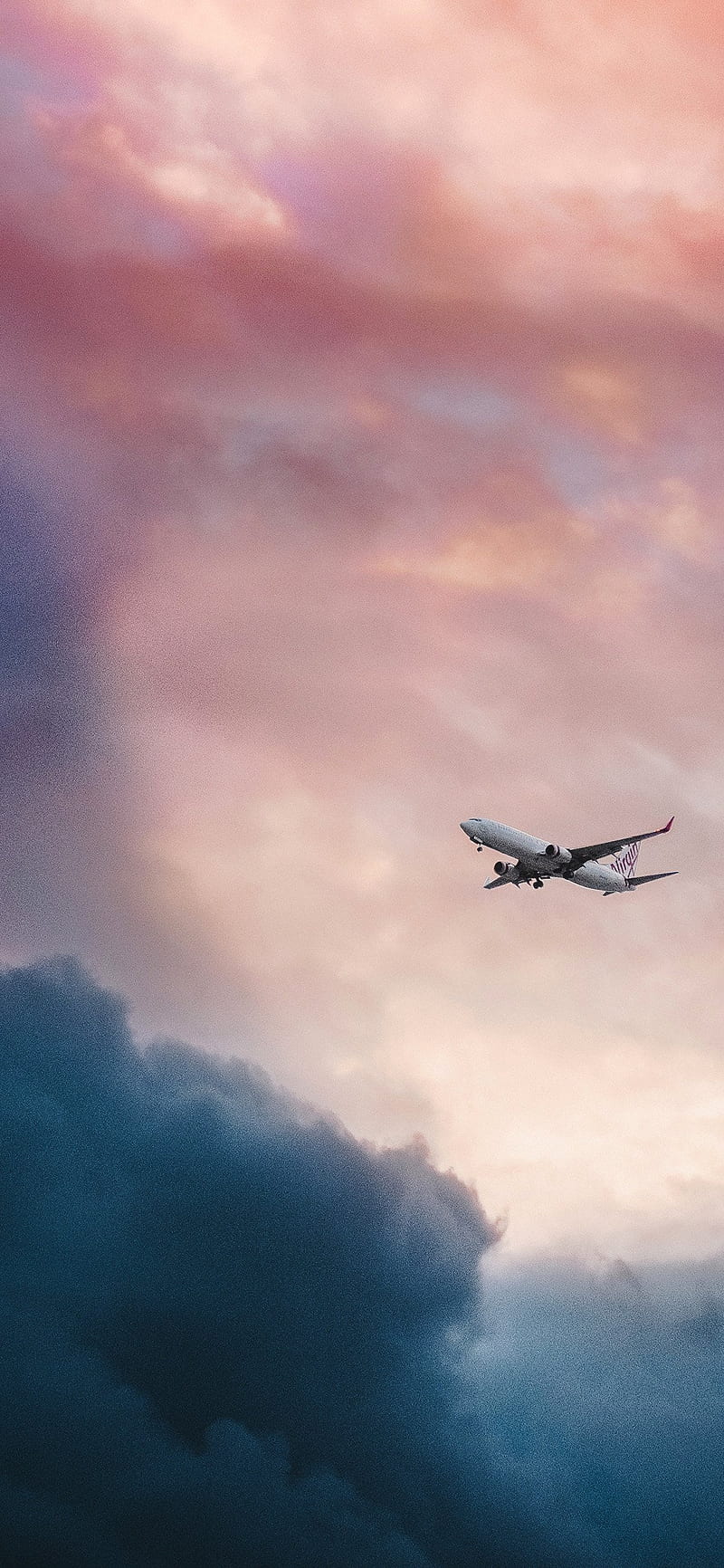 800x1732 Plane, aircraft, airplane, aviation, flight, flying, mechanic, planes, solo, HD phone wallpaper