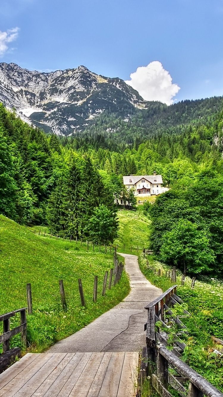 750x1334 Village road Wallpaper Download