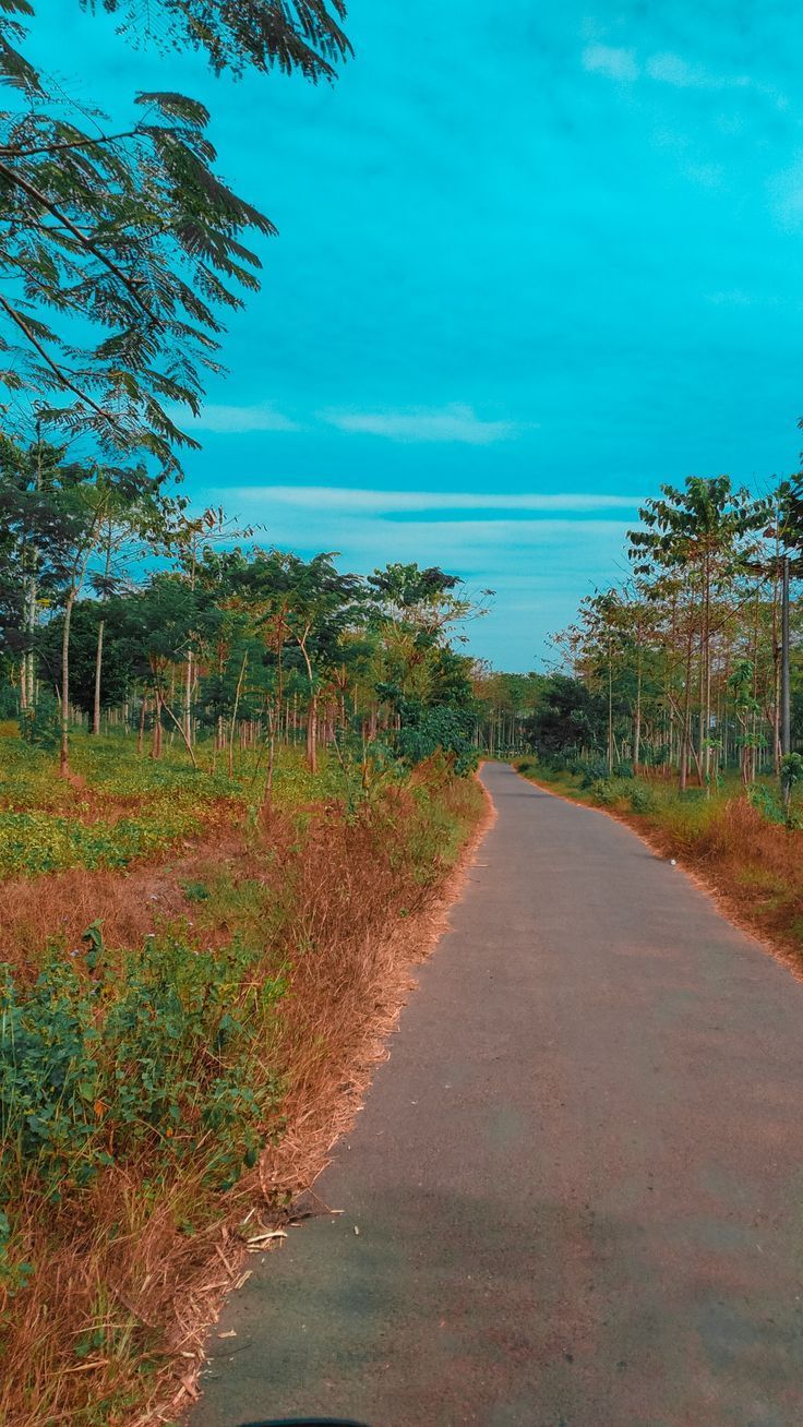 736x1308 Background. Village photo, Aesthetic art, Village