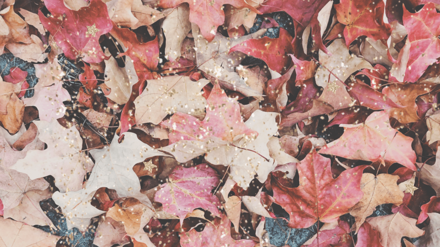 Pink Autumn Wallpapers Top Free Pink Autumn Backgrounds WallpaperAccess