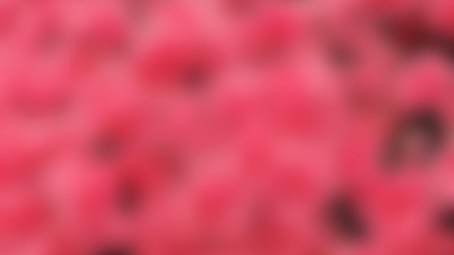 1920x1080 Pink Wallpaper for Desktop