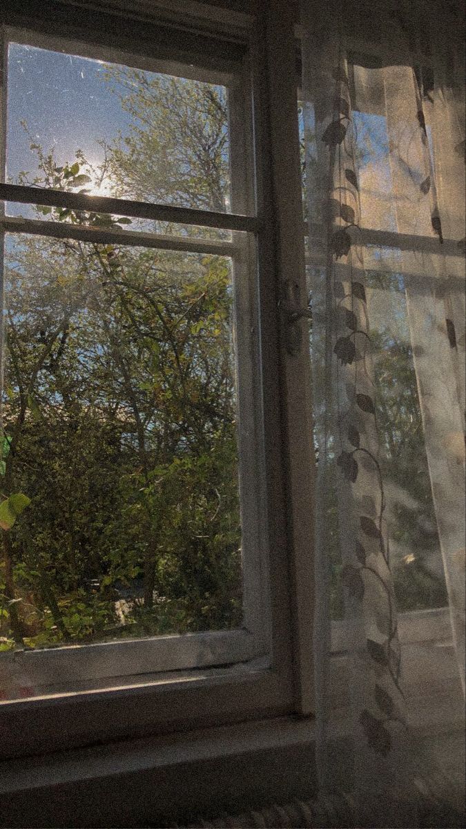 675x1200 Window. Dark cottagecore aesthetic, Dark cottagecore aesthetic wallpaper, Dark cottagecore