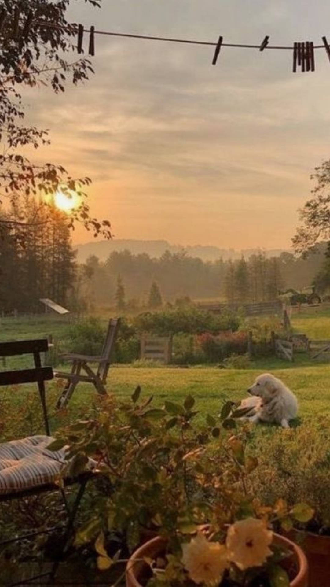 1080x1920 Download Aesthetic Cottagecore Sunrise Wallpaper