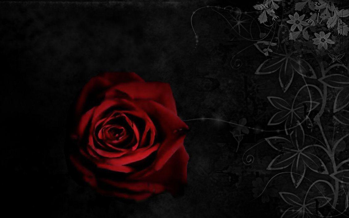 1131x707 gothic roses wallpaper