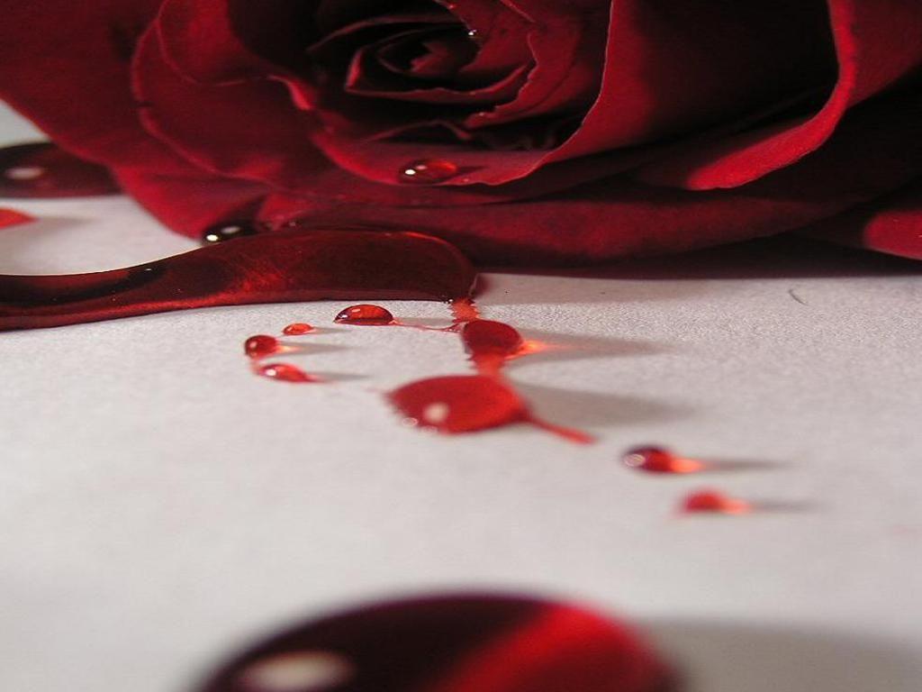 1024x768 Bloody Image and Photo