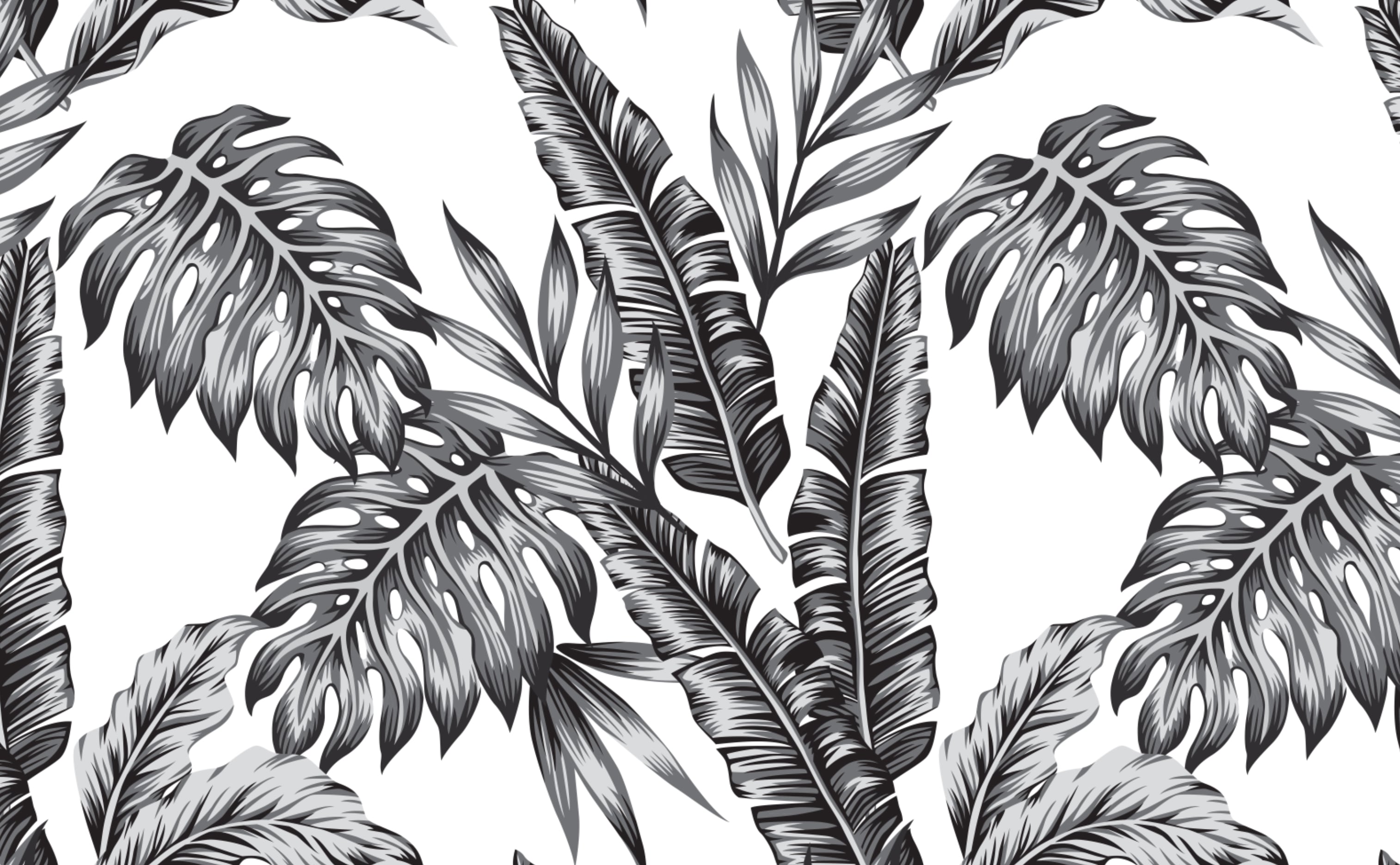3028x1872 Palm Leaves Tropical Wallpaper
