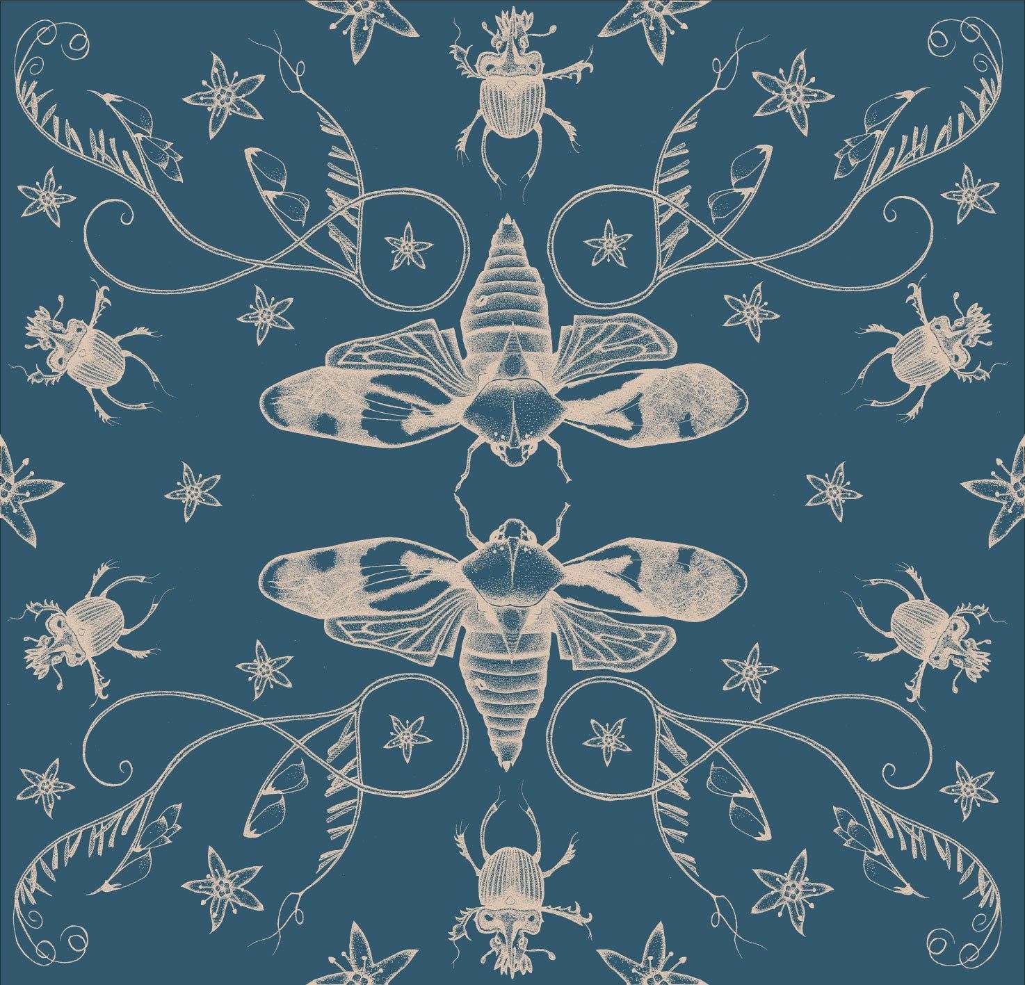 Entomology Wallpapers - Top Free Entomology Backgrounds - WallpaperAccess